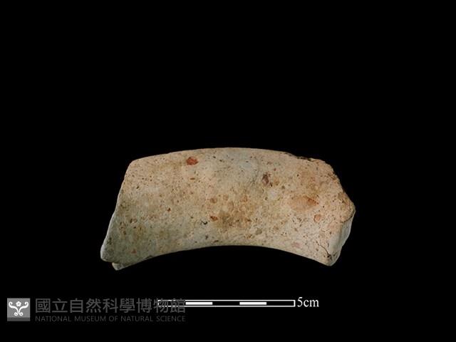 陶罐藏品圖，第2張