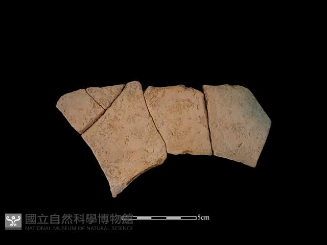 連杯形器藏品圖，第2張