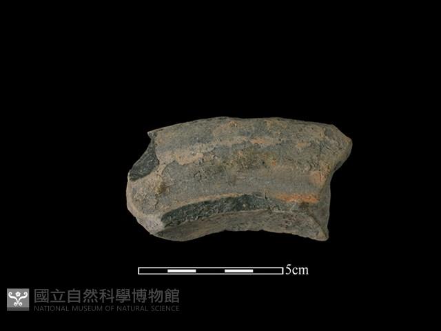 連杯形器藏品圖，第2張