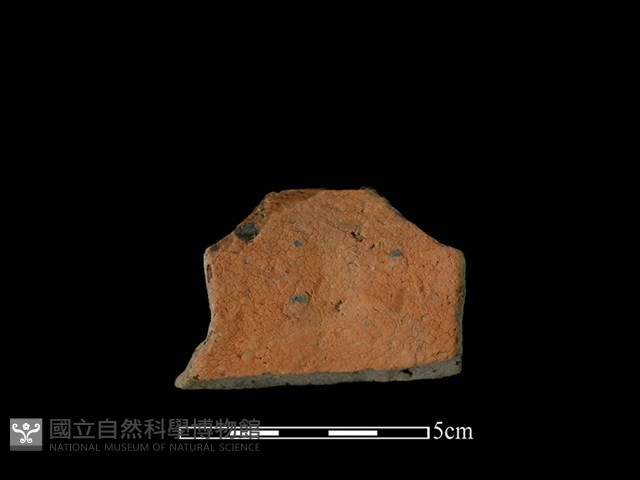 陶盆藏品圖，第2張