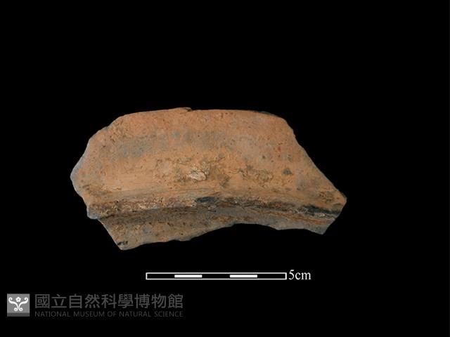 連杯形器藏品圖，第2張