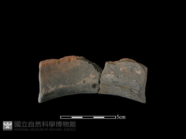 陶罐藏品圖，第2張