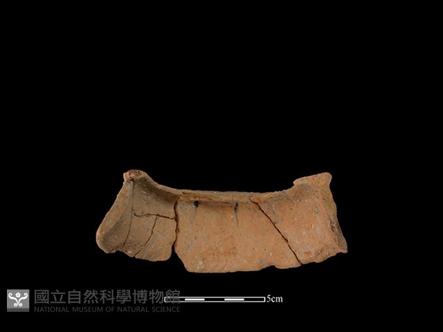 陶罐藏品圖，第2張