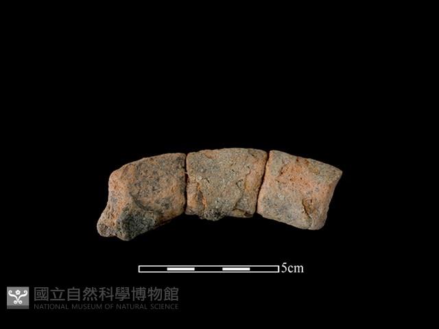 陶罐藏品圖，第2張