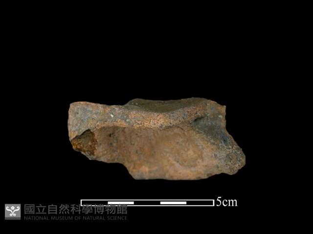 陶罐藏品圖，第2張