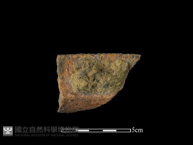 陶罐藏品圖，第2張