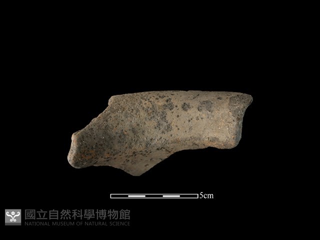 陶罐藏品圖，第2張