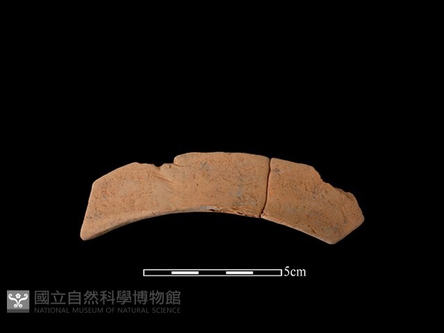 連杯形器藏品圖，第2張