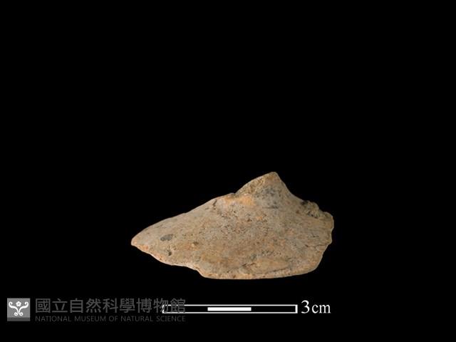 紡輪藏品圖，第2張