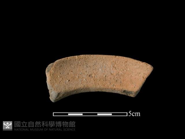 陶罐藏品圖，第2張