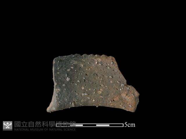 陶罐藏品圖，第2張