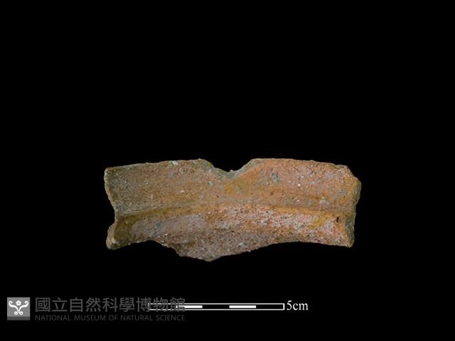 陶罐藏品圖，第2張