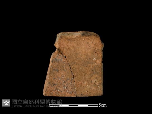 陶罐藏品圖，第2張