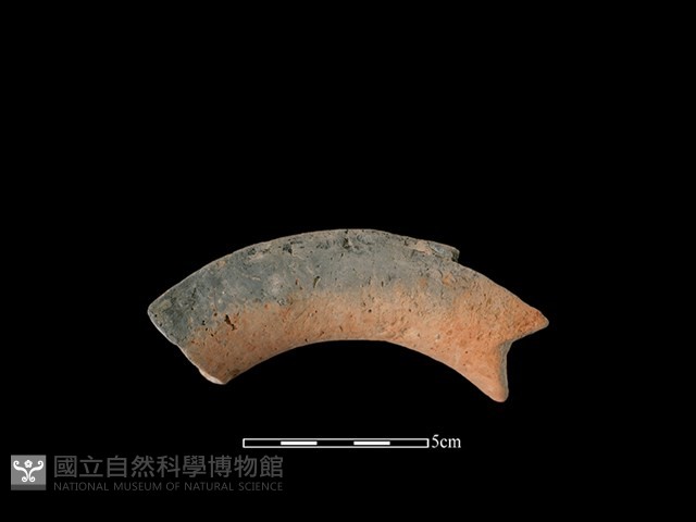 陶罐藏品圖，第2張