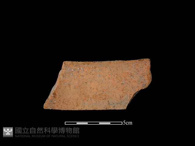陶罐藏品圖，第2張
