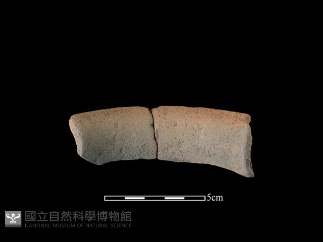 陶罐藏品圖，第2張
