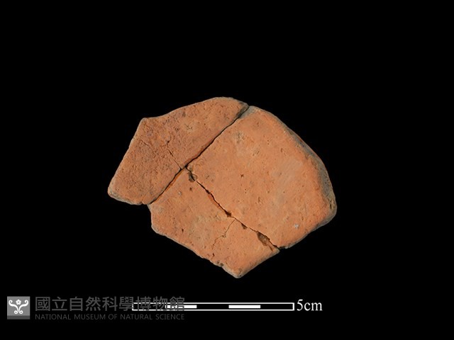 陶片藏品圖，第2張