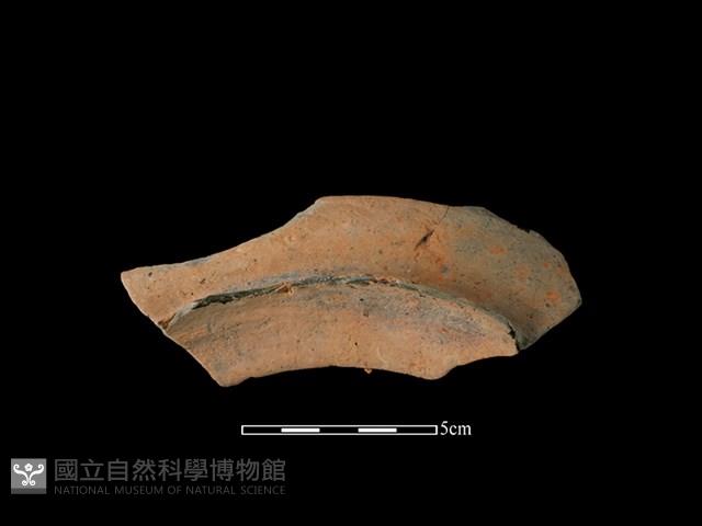 連杯形器藏品圖，第2張