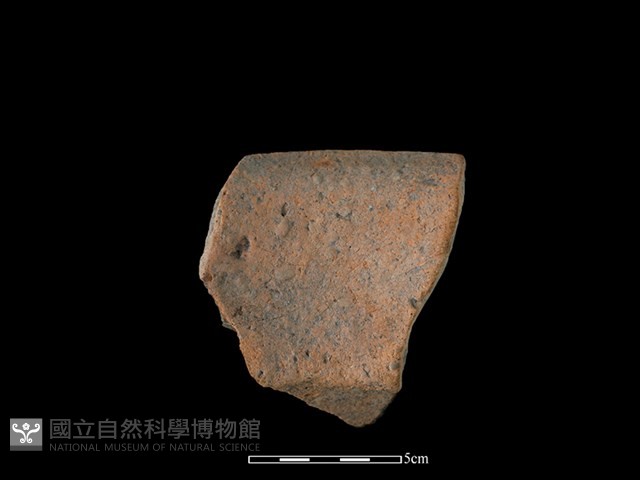 陶罐藏品圖，第2張