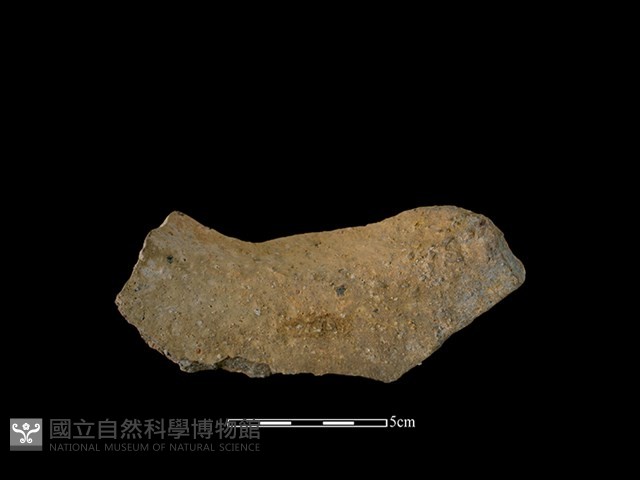 陶罐藏品圖，第2張