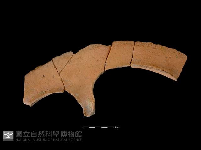 連杯形器藏品圖，第2張