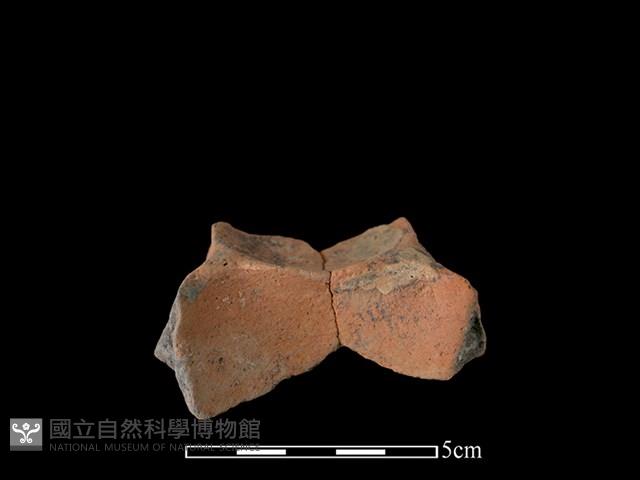 連杯形器藏品圖，第2張