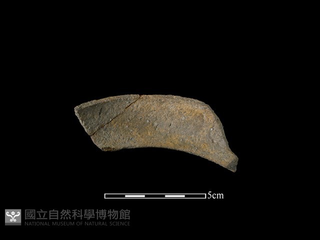陶罐藏品圖，第2張