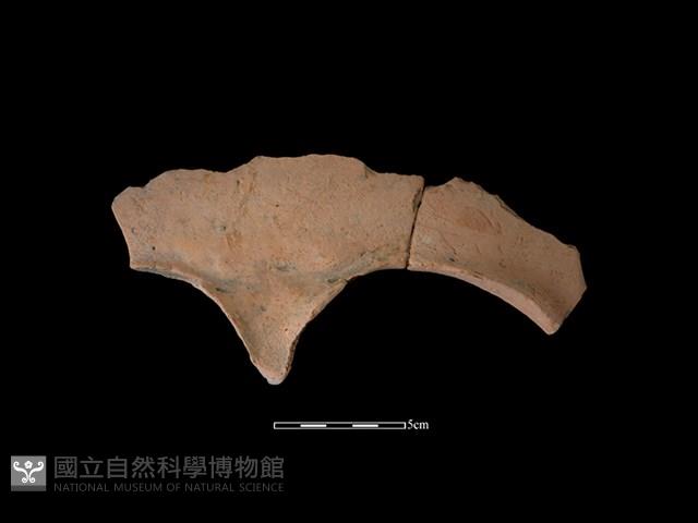 連杯形器藏品圖，第2張