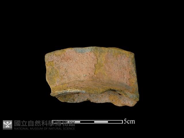 連杯形器藏品圖，第2張