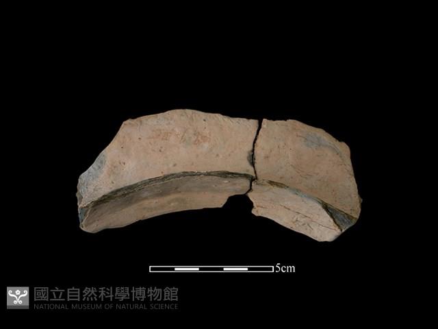 連杯形器藏品圖，第2張