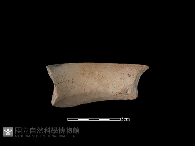陶罐藏品圖，第2張