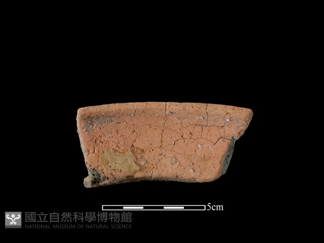陶罐藏品圖，第2張