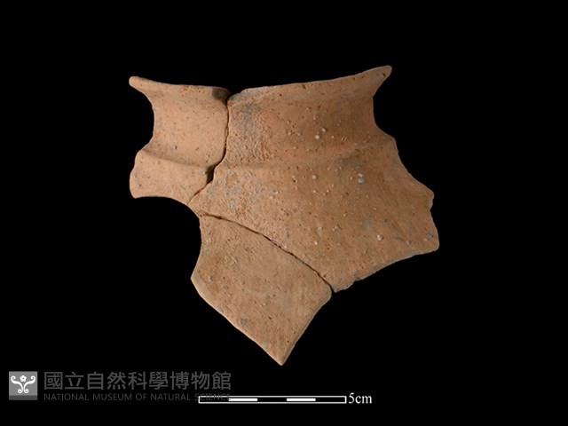 陶罐藏品圖，第2張