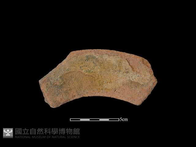 陶罐藏品圖，第2張