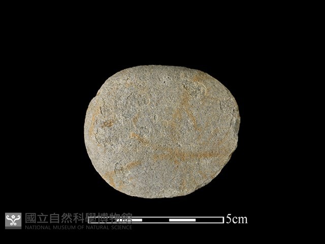 石片器藏品圖，第2張