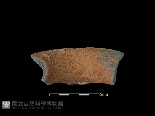 陶罐藏品圖，第2張