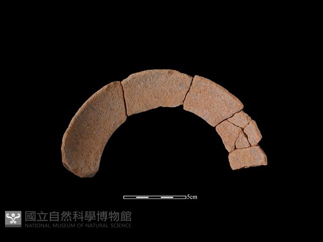 陶罐藏品圖，第2張