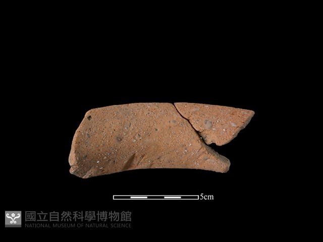 陶罐藏品圖，第2張