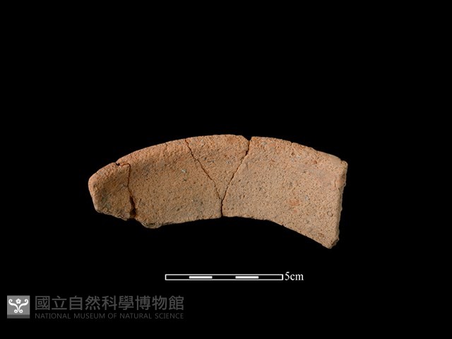 陶罐藏品圖，第2張