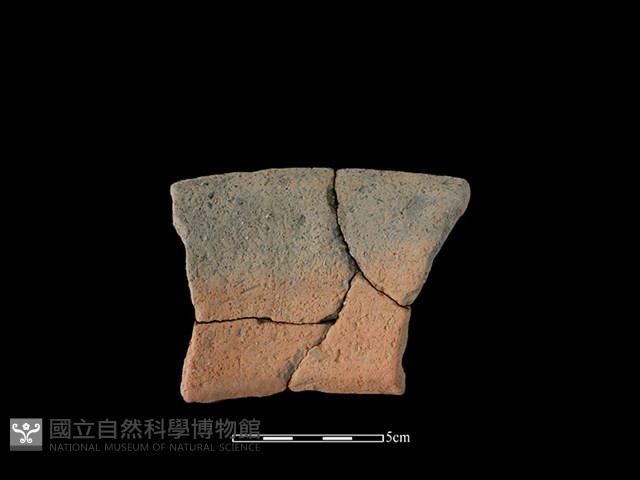 陶罐藏品圖，第2張