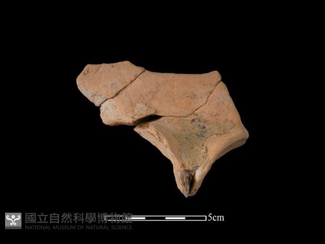 連杯形器藏品圖，第2張