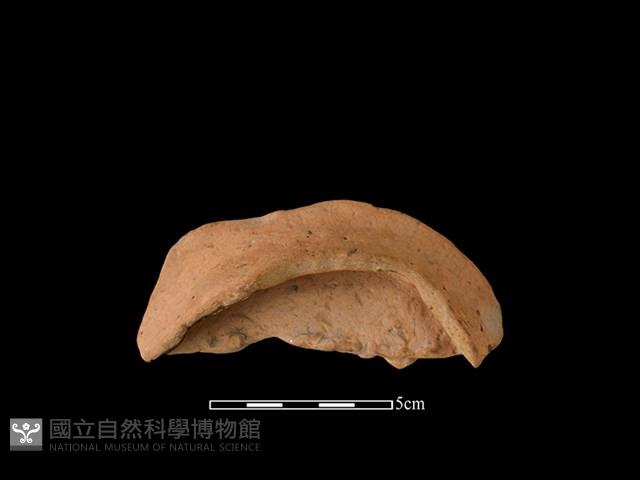 連杯形器藏品圖，第2張