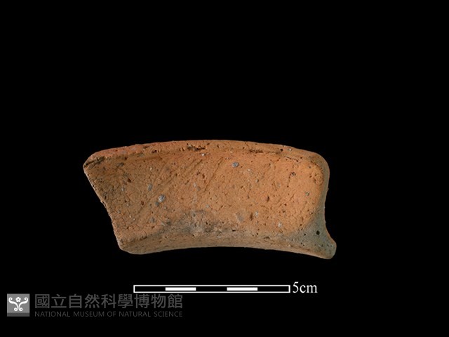 陶罐藏品圖，第2張