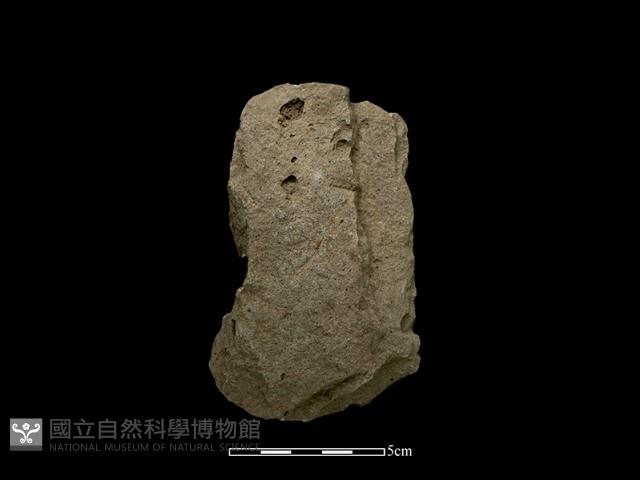 斧鋤形器藏品圖，第2張