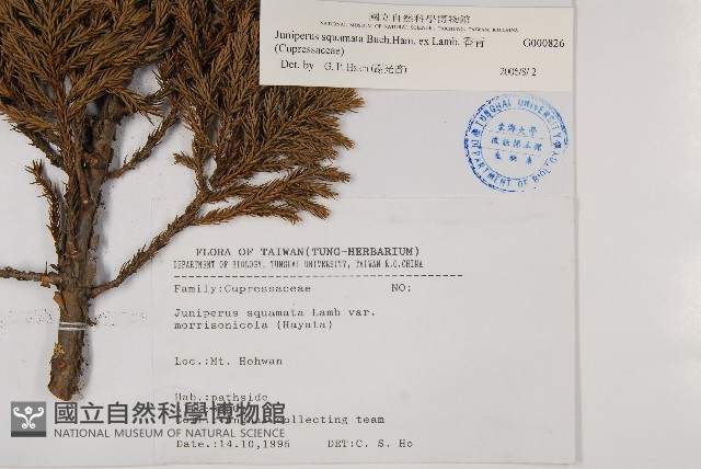 香青藏品圖，第2張