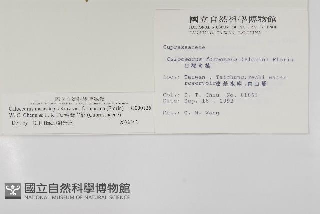 台灣肖楠藏品圖，第2張