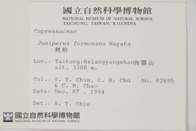 刺柏藏品圖，第2張