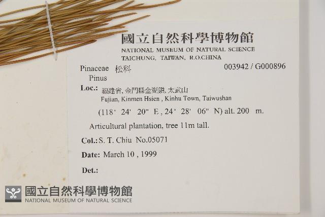 登錄號:G000896藏品圖，第2張