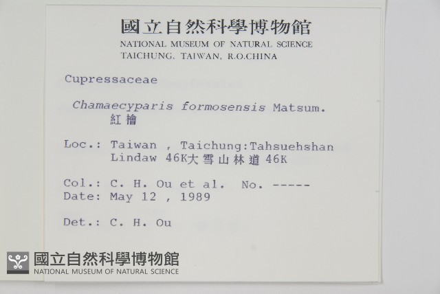 紅檜藏品圖，第2張
