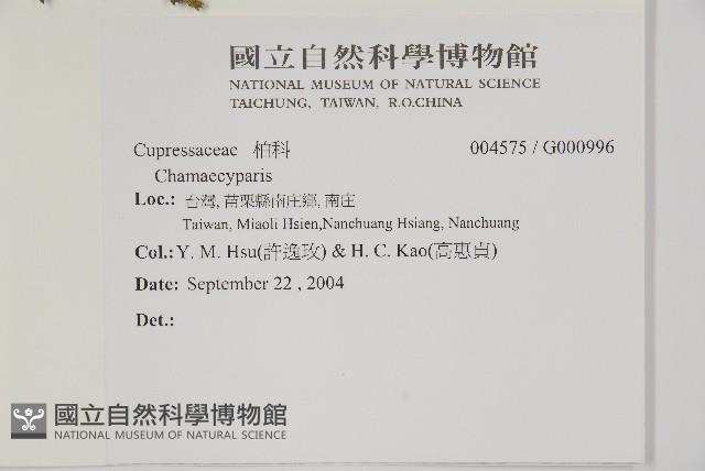 登錄號:G000996藏品圖，第2張